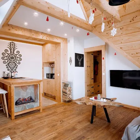 Tatry Folk Regionalny Grota Solna Apartment